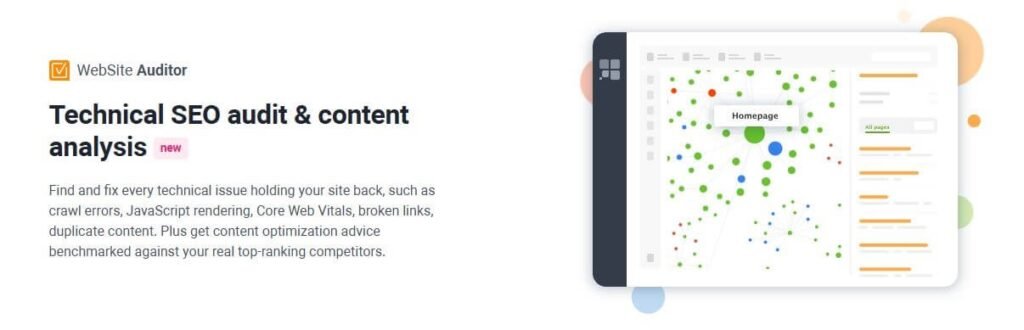 website auditor